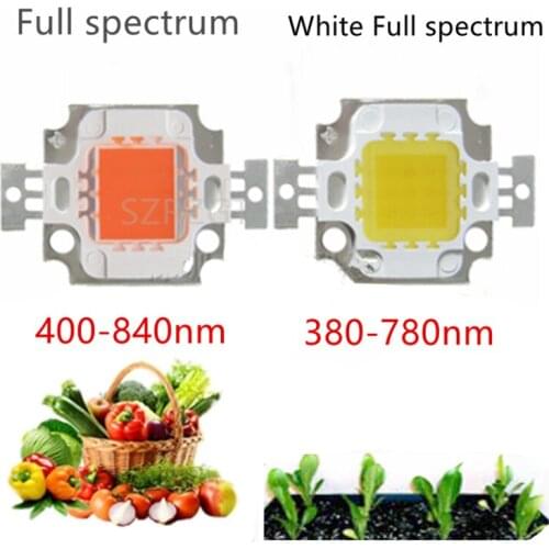 LED Chip Grow Light 10W Full Spectrum Pink Plant Lamp Diodes Growth Lighting for Garden Flowering Hydroponics System 9-12V 900mA