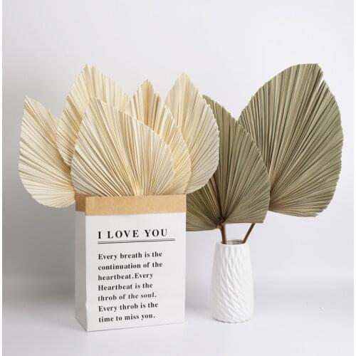 Palm Leaf Fan Dried Artificial Leaves Plant Wall Handicraft Photography Props Nordic Home Decor Gazebos Wedding EasterDecoration