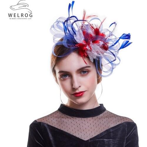 WELROG New Vintage Fascinator with Feather for Wedding Church Cocktail and Kentucky Derby Fascinators Headband and Clip