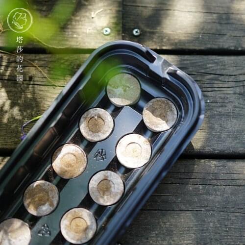 Seedling Tray Set Three-in-One Spring and Autumn Seeding Package 12-Hole Nutrient Soil Block with Substrate