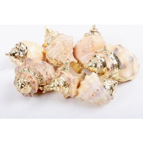 Gold plating Aquarium Beach Nautical DIY Shells Colorful Natural Seashells Decorations Scallop Shells Crafts Decor Ornament 5Pcs