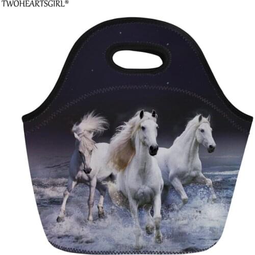 Twoheartsgirl Women Kids Lunch Bag 3d Crazy Horse Tote Lunchbag for Junior Kindergarten Baby Insulated Picnic Food Bags