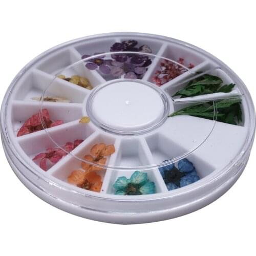 Mixed Natural Nail Dried Flower Diy 3D Pressed Blossom Flower Leaf Slider Sticker Polish Manicure Nail Art Decorations