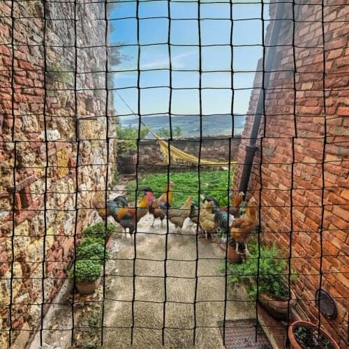 Heavy Duty Chicken Farm Garden Netting Easy Install PE Multipurpose Anti Bird Poultry Aviary Crops Protection Mesh Yard