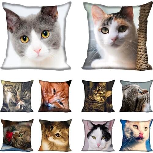 Custom Pillowcase Cover Lovely Cat Square Zipper Pillow Cover (Two Sides) Print Your Pictures Cool Pillow Cases