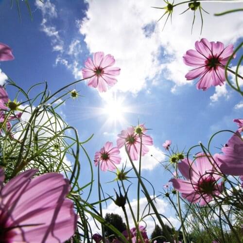 A16682 11CT/14CT/18CT/25CT/28CT night snowing patterns Counted Cross Stitch DIY Cross Stitch Kits Embroidery Needlework Sets