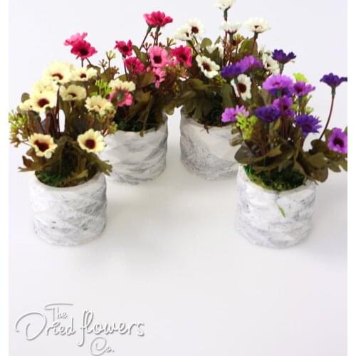 Artificial Flower in Concrete Pot Spring Daisy Set of 4 Home Garden