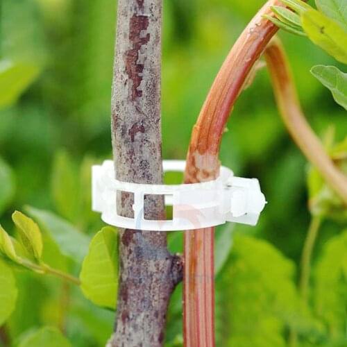50pcs Tomato Veggie Garden Plant Support Clips For Trellis Twine Greenhouse Invernadero
