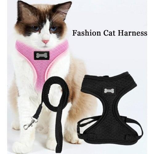 Adorable Soft Mesh Dog Cat Vest Harness with Matching Lead Leash No Pull Comfort Padded Vest for Cats Puppy Small Pet Supplies
