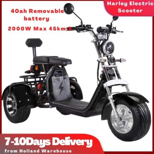 2000W Electric Citycoco Scooter Fat Tire Adults Three Wheels Mobility With Pedal Moped Chopper Cargo Trike EEC Europe Warehouse