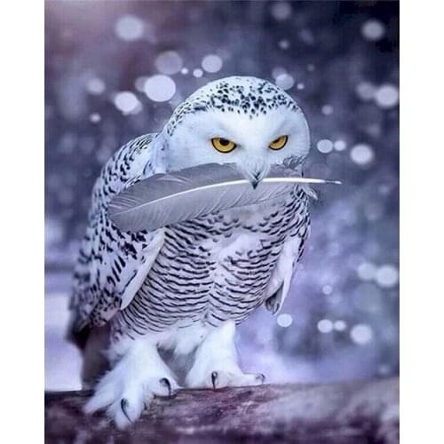 RUOPOTY Colouring Abstract White owl Animals Diy Painting By Numbers Acrylic Picture Hand Painted Oil Painting For Home Decor