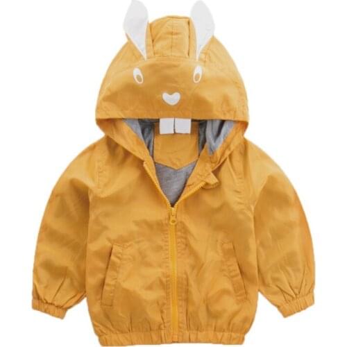 Children Hooded Sweatshirt Autumn Toddler Cartoon Clothes Baby Girl Boy Tops Hoodie Zipper Outfits Kids Clothing Wear New 1-6T