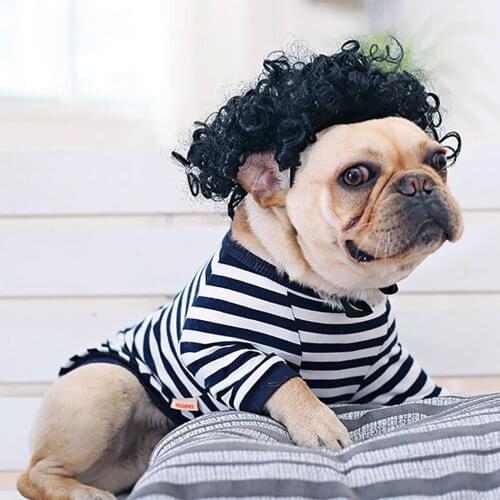Pet Dog Wig Cosplay Cap for Small Puppy Dogs Cats Cute Lovely Girl Hair Loop Head Wear Dog Pet Hat Hair Costume