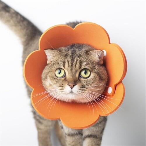 Pet Elizabeth Circle Collar Cat Wound Healing Medical Anti Bite Sun Flower Saliva Towel Felt Cloth Cat Collar Recovery Sleeve