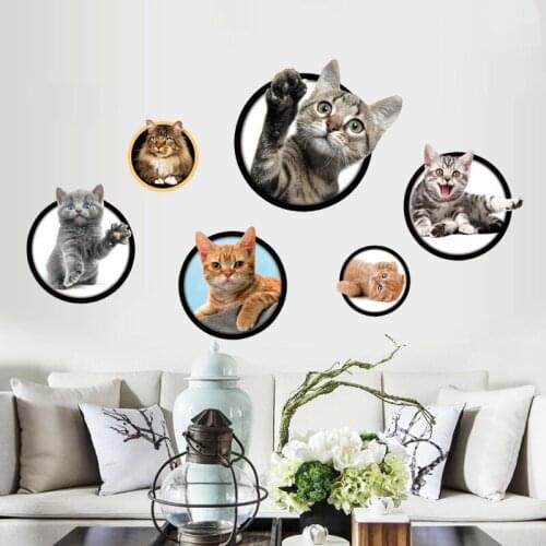 Cute Circle Orange Cat Blue Cat Decorative Wall Sticker Animal pet PVC sticker paper Home decoration wall glass plastic