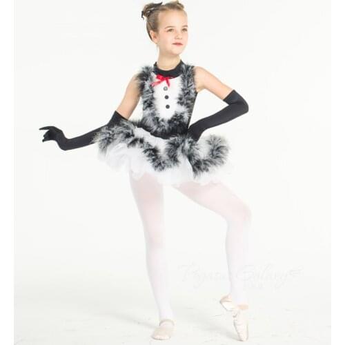 Adult Dance Dress Ballet Clothes For Girls Danse Classique Tutu Ballet Girls Ballerine Dance Costume Professional Ballet Tutu