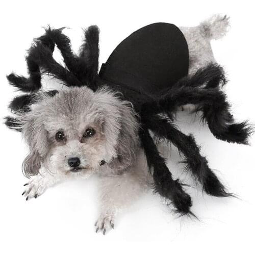2021 Hot Sale Halloween Party Pet Supplies Sphinx Cat Accessories Cosplay Spider Dog Clothes Funny Halloween Pet Clothing Fo Cat