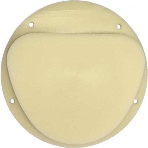 5pcs Preshade PMMA Blank A3 Color for Dental Lab Amann Girrbach System