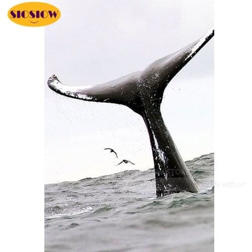 5 D Diy Diamond Painting Black And White Whale Tail Full Square Diamond Mosaic Paintings Embroidery Cross Stitch Decor Room Home