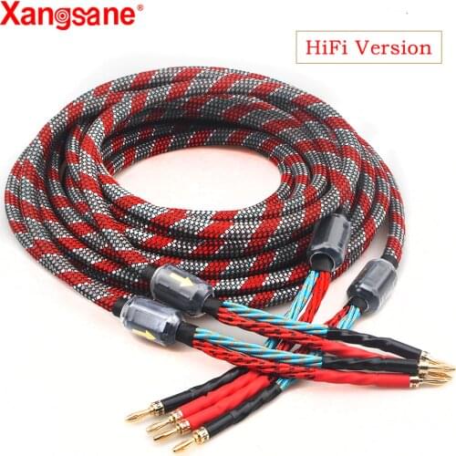Xangsane TVs, Audio And Video
