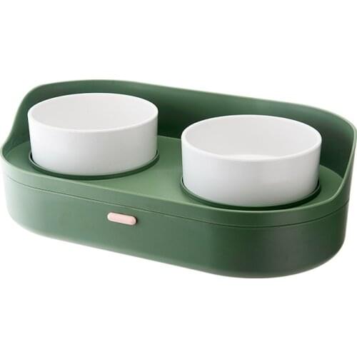 Elevated Double Cat Bowls with Airtight Storage, No-Spill Pet Feeding Bowls for Cat and Small Dogs