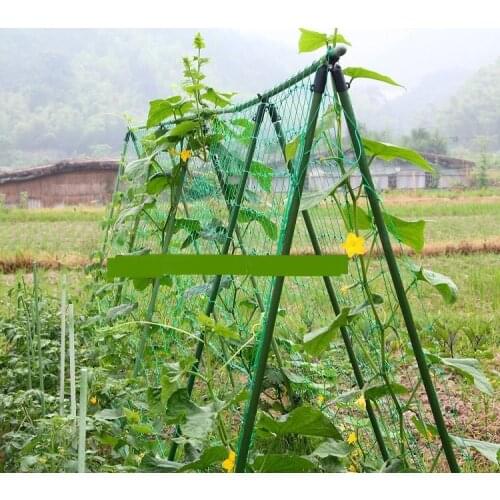 Free shipping 1.8X1.8m Garden Netting Vine Plant Climbing Mesh Net Nylon Material Only