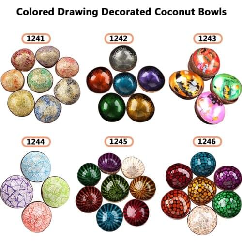 Handcraft Decorated Coconut Bowl Colored Drawing Coconut Bowl Storage Bowl Organic Coconut Shell Handcraft Sundry Bowl Best Gift