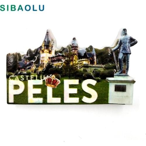 SIBAOLU Fridge Magnets