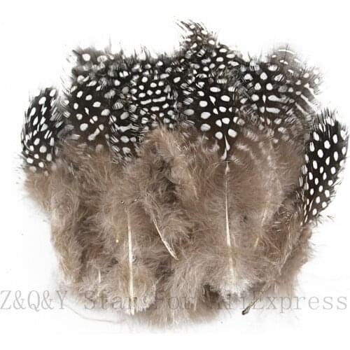 5-10CM (2-4 inches) natural guinea fowl feather 100PCS DIY home wedding decoration crafts accessories feather