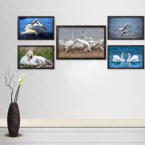 Canvas Painting Beautiful HD Animal Wall Art Swan Posters And Prints Wall Pictures For Room Decoration Home Decor 40x60cm