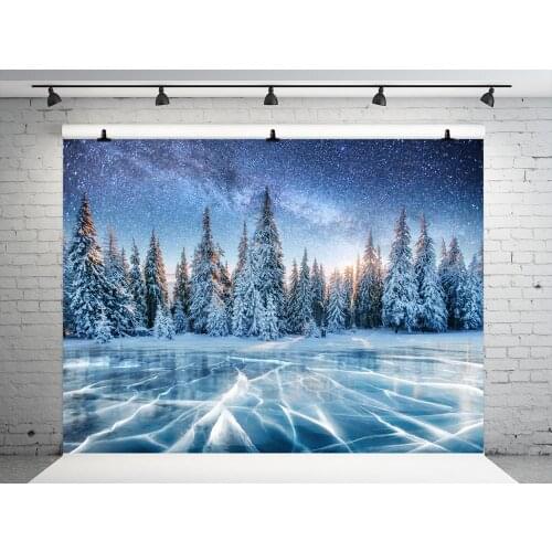 VinylBDS Winter Backdrops For Photography Snow Tree Photography Backdrops Christmas Frozen Ice Backgrounds For Photo Studio