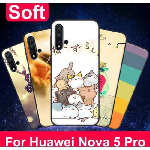 For Huawei Nova 5 Pro Case Nova5Pro painted cartoon Cover Phone Case For Huawei Nova5 Pro back Cover Nova 5Pro Shockproof bumper