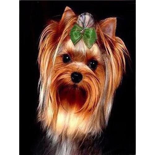 5d DIY Full Drill Diamond Painting Embroidery Cross Stitch Kits Yorkshire Terrier Pictures Of Rhinestone For Mosaic Cute Dog
