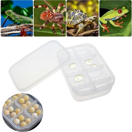 SENZEAL Reptile Breeding Box Egg Hatchery Incubator Box Container for Hatching Gecko Snake Lizards Lions Mane Reptiles