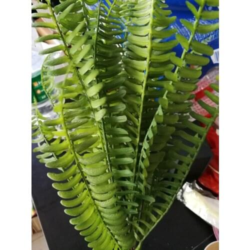 DIY Artificial Fern Bouquet Silk Green Plants Fake Persian Leaves Foliage Home Decor