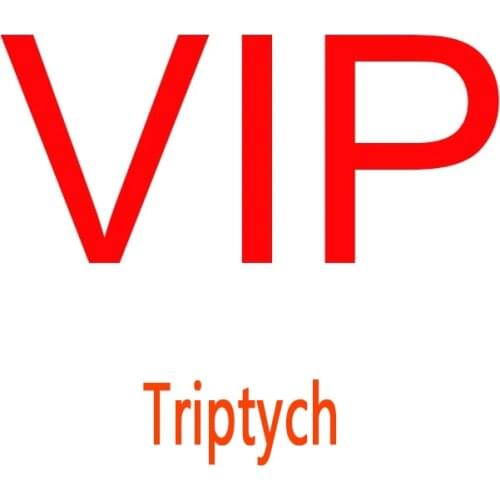 VIP Triptych Canvas Painting
