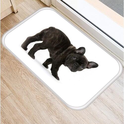 Entrance 40*60cm Door Mats Dog Funny Pug French Bulldog Kitchen Living Room Rug Waterproof Anti-Slip Bathroom Carpet