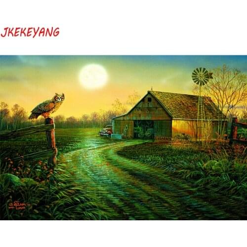 5D DIY square/round Diamond painting Farm owl Cross Stitch Diamond Embroidery Pattern Rhinestone J1702