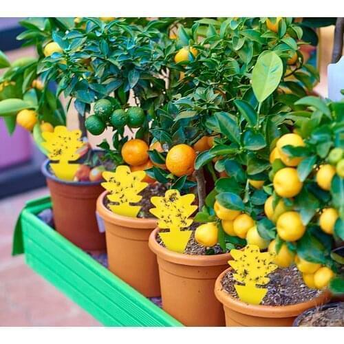 20pcs Yellow Strong Flies Sticky Traps Bugs Flying Traps Catching Aphid Pest Outdoor for Fruit Fly Fungus Insects Double Traps