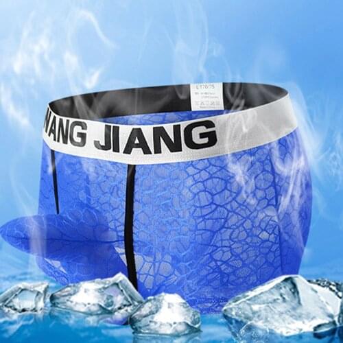 Sheer Underwear Mans Transparent Mesh Boxer Briefs Sexy Mens Penis Sheath Trunks Panties Mans Breathable Ice Silk Underpants