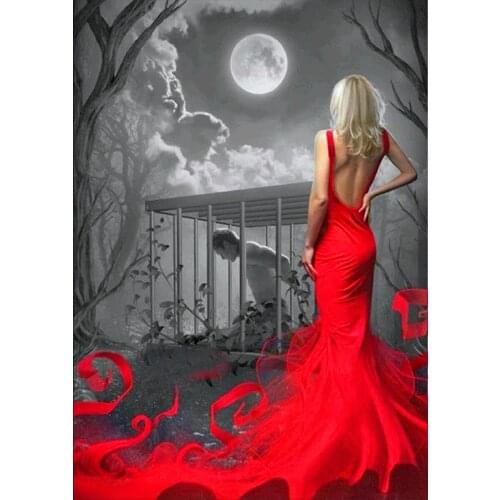 Needlework Modern Home Decor Diamond Painting Beauty and Prisoner 5D DIY Diamond Embroidery Partial Red 30*40 Canvas Paper Bag