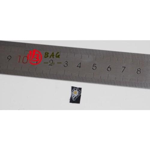 1/6 of the Action Figures model DID 3R DML WWII the German army wehrmacht SS Edelweiss rank