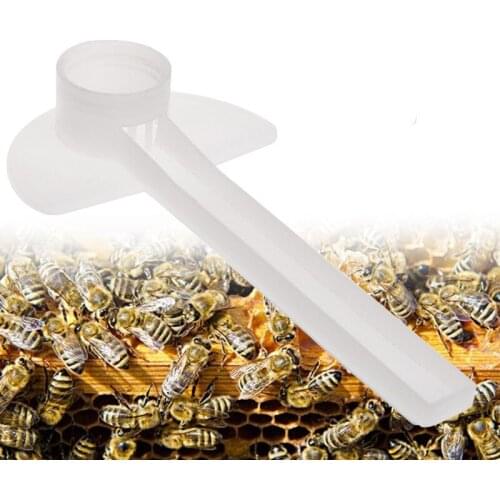 10Pcs/Set Bee Feeder Water Drink Feeding Beekeeping Apiculture Tool Beehive Plastic