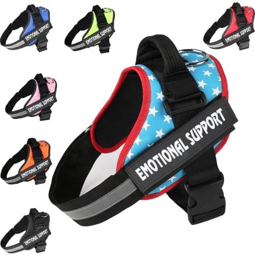 Unique Products Dogs Pets Accessories Training Pet Supplies Dog Collars and Harnesses Chain Leash Harness for Dogs Dropshipping