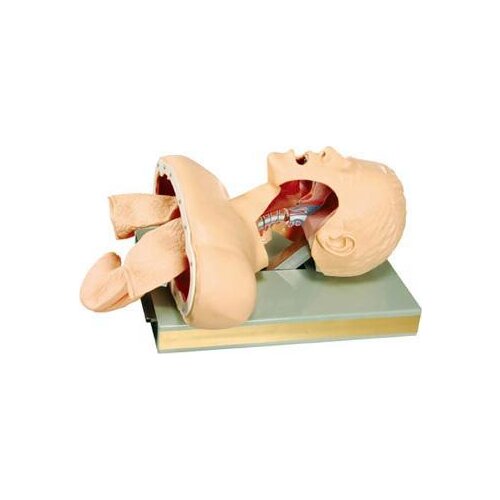 Medical human endotracheal intubation exercise model electronic adult intubation nursing belt alarm training mold