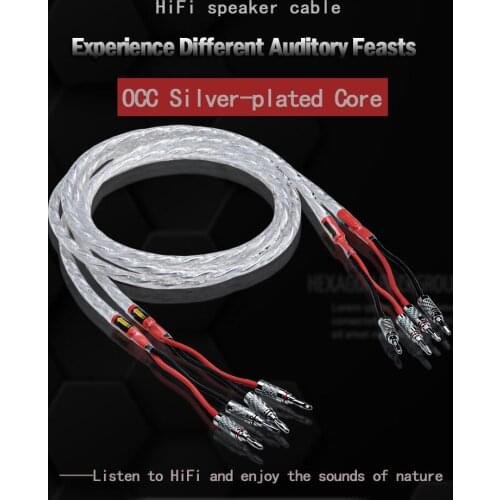 One Pair ATAUDIO HIFI Silver-plated Speaker Cable Hi-end 6N OCC Speaker Wire For Hi-fi Systems