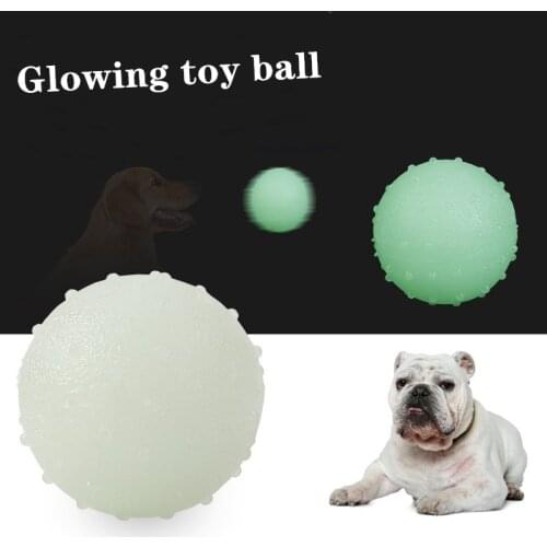 Pet Toy Dog Toy Rubber Elastic Luminous Ball Bite Training Interactive Dog Supplies Ball TPR Material Natural Solid Qianyi