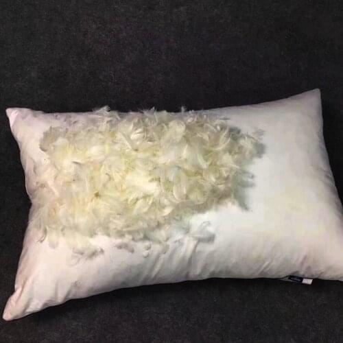 LISM 100% White Goose Down Feather Pillow Cotton Cover Five Star Hotel Pillow Adult Single