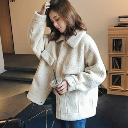 Women Teddy Coat Autumn 2020 Plush Winter Faux Fur Jacket Coat Women Turn-down Collar Plus Size Overcoat