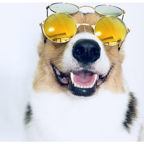 Medium Large Dog Glasses Fashion Eye-wear Sunglasses For Cats Christmas Photos Props Pet Grooming Accessories Supplies Size S/L